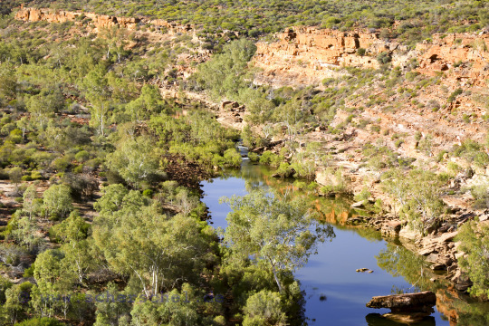 AUS2023_09966_C6D.JPG