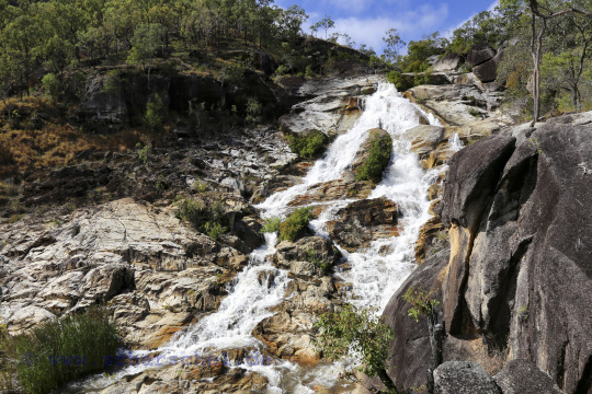 AUS2023_16471_C6D.JPG
