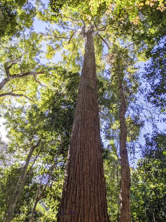 AUS2023_18092_GP5.JPG