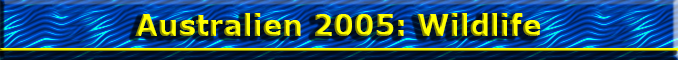 Australien 2005